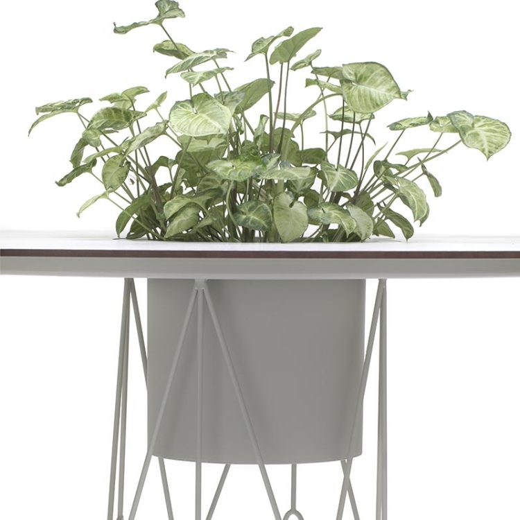 garda_ataman_mesh_sto_d_1100_ga06ci_1