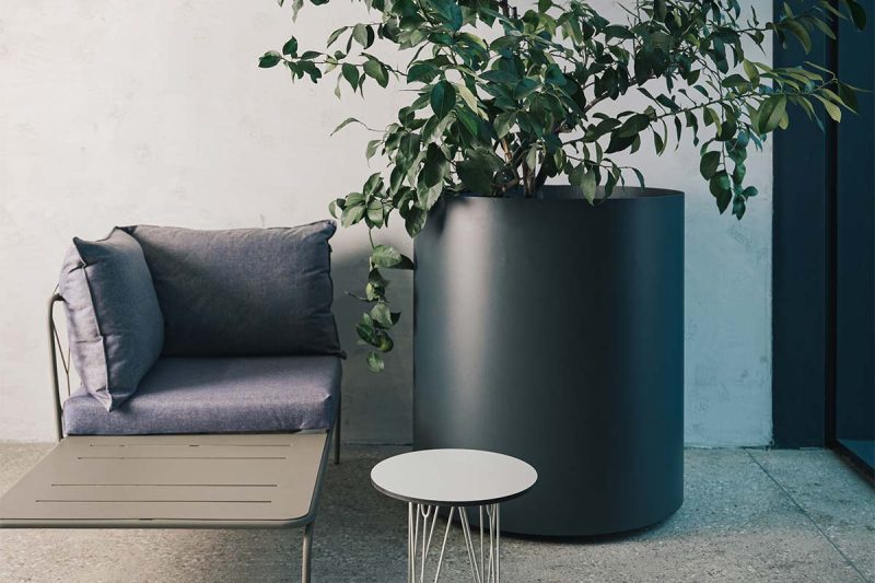 tondo_zardinjera_L_CTO10LA_04