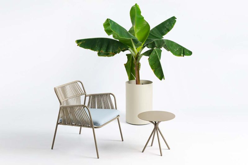 tondo_zardinjera_M_CTO10ME_06