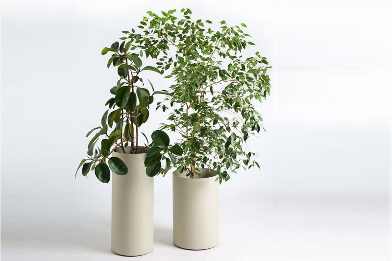 tondo_zardinjera_S_CTO10SM_04