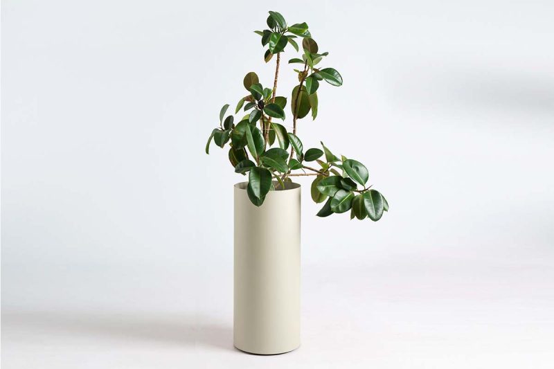 tondo_zardinjera_S_CTO10SM_05