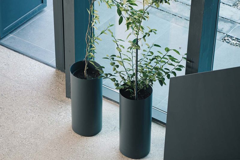 tondo_zardinjera_S_CTO10SM_06